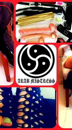 Aurora Encendida La Compañía Perfecta para Tus Momentos Especiales 7 Aurora Encendida La Compañía Perfecta para Tus Momentos Especiales